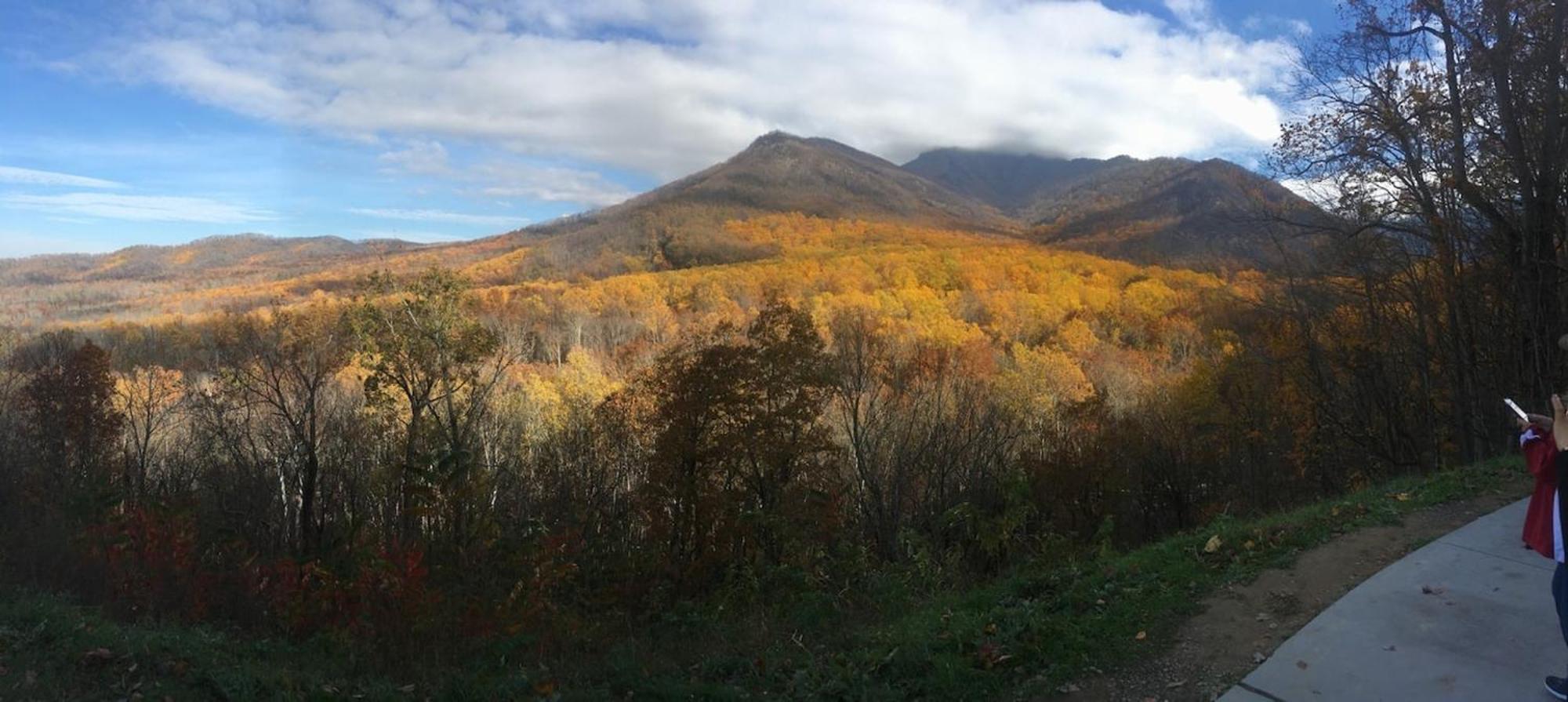 Serene Mountain And Sunset Views 3Bd Cabin Franklin Eksteriør bilde